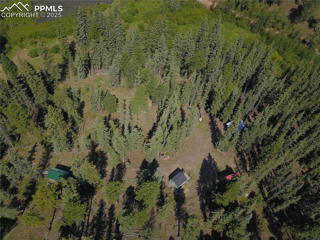 10223 Trail Creek Road Florissant CO 80816