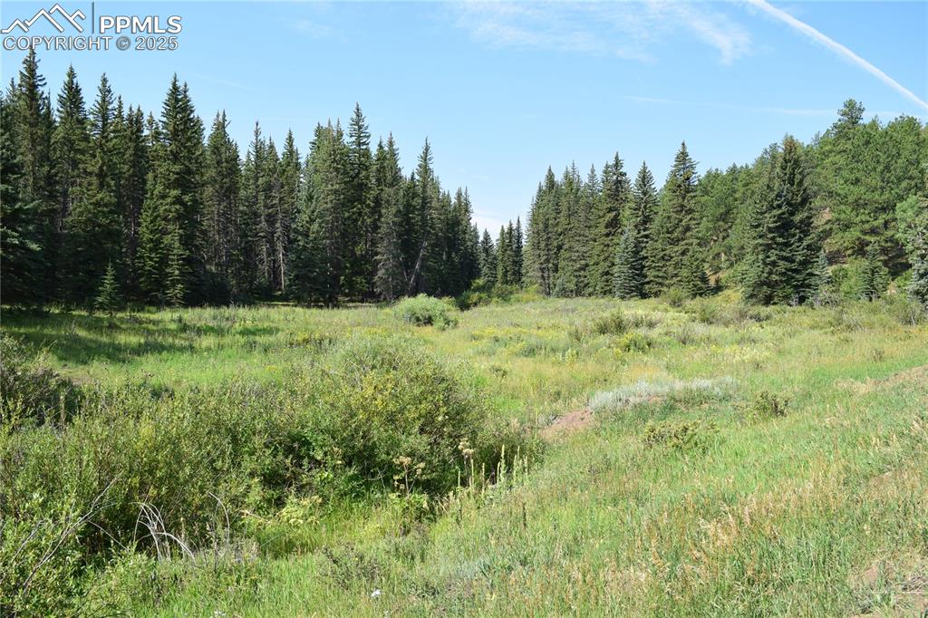 10223 Trail Creek Road Florissant CO 80816