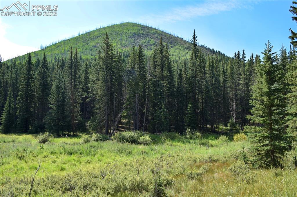 10223 Trail Creek Road Florissant CO 80816