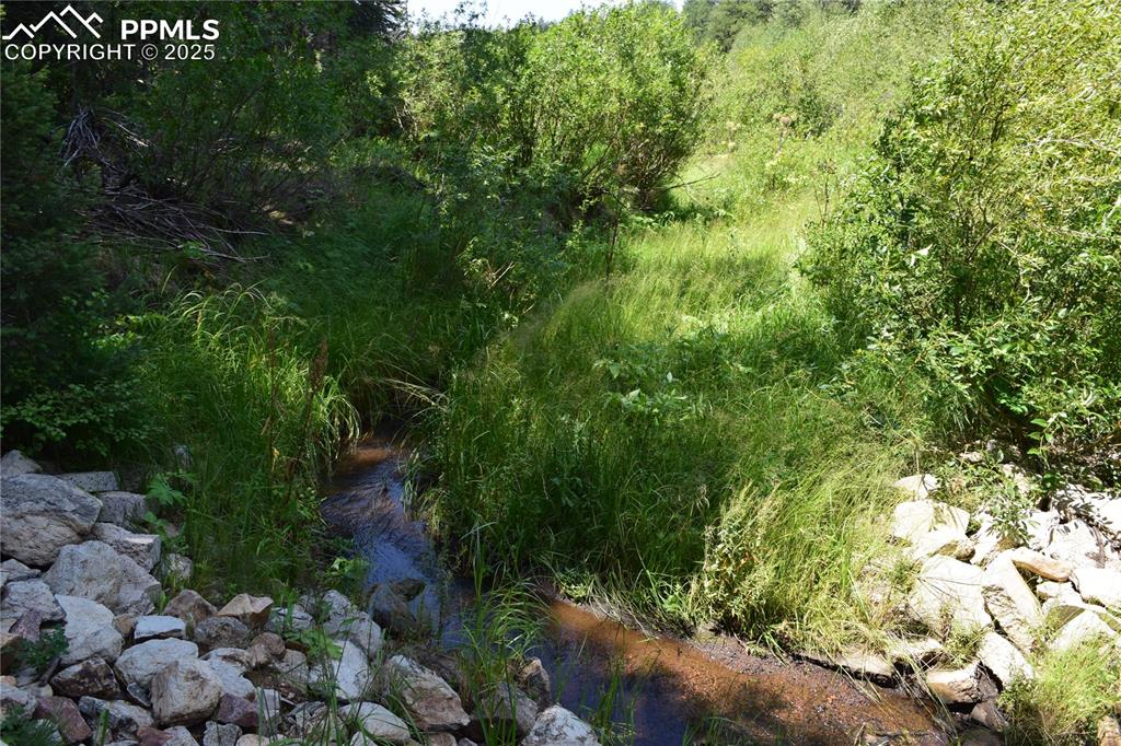 10223 Trail Creek Road Florissant CO 80816