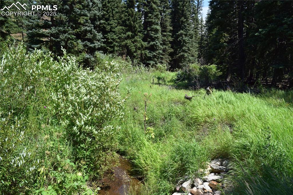 10223 Trail Creek Road Florissant CO 80816
