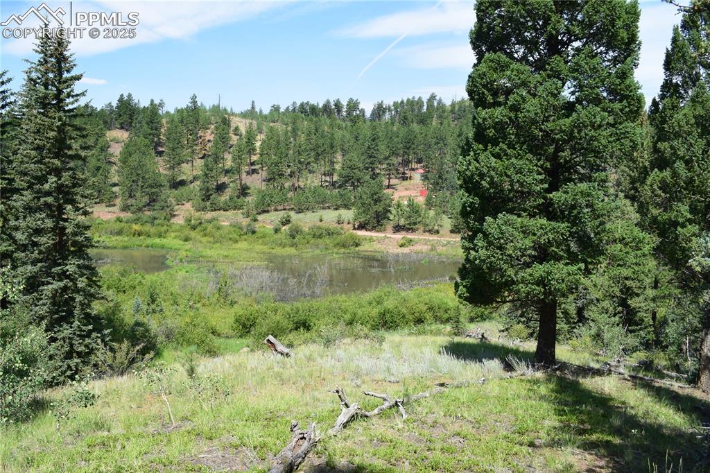 10223 Trail Creek Road Florissant CO 80816