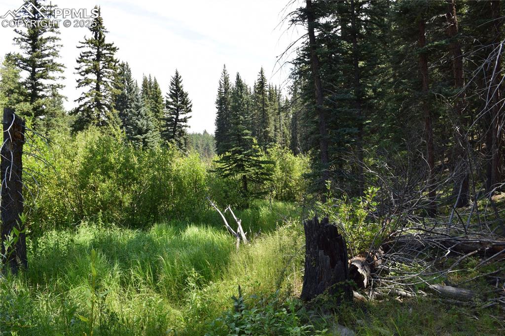 10223 Trail Creek Road Florissant CO 80816