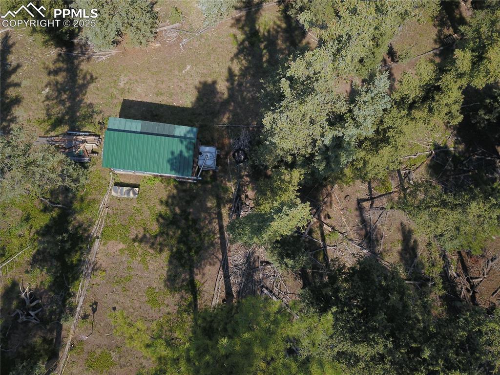 10223 Trail Creek Road Florissant CO 80816