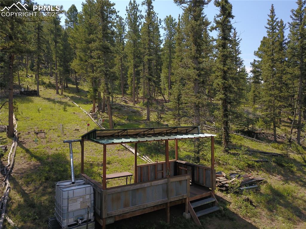 10223 Trail Creek Road Florissant CO 80816