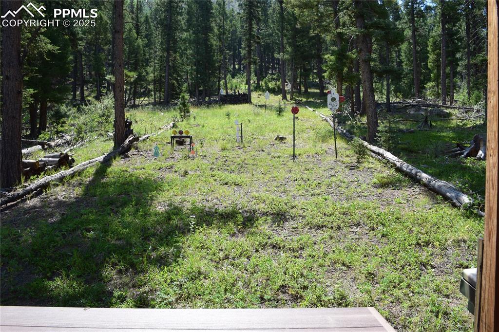 10223 Trail Creek Road Florissant CO 80816