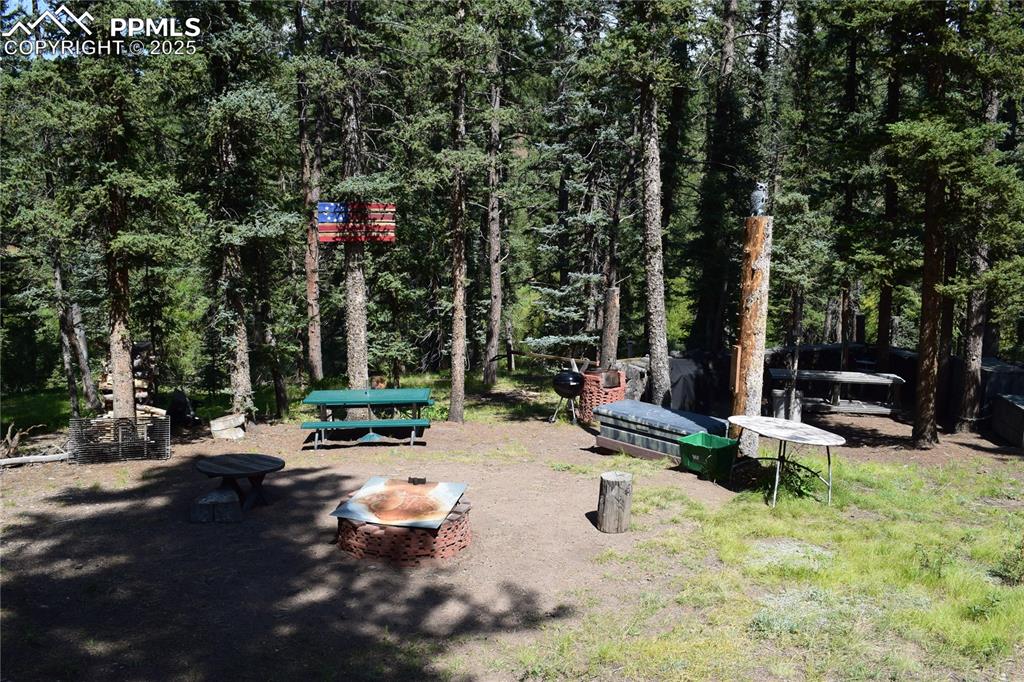 10223 Trail Creek Road Florissant CO 80816