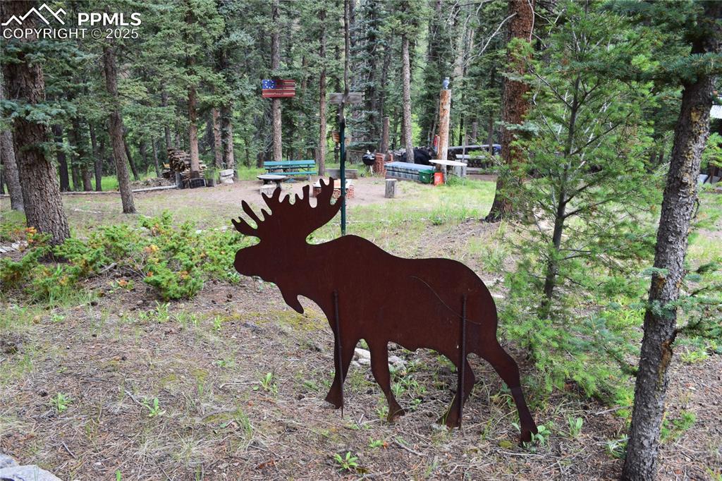 10223 Trail Creek Road Florissant CO 80816