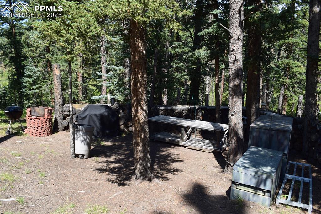 10223 Trail Creek Road Florissant CO 80816
