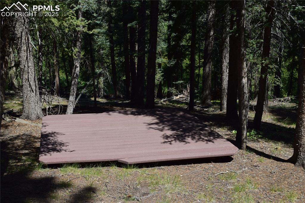 10223 Trail Creek Road Florissant CO 80816