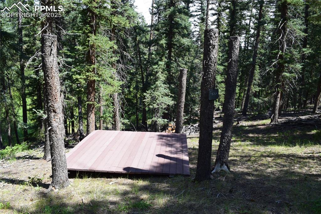 10223 Trail Creek Road Florissant CO 80816
