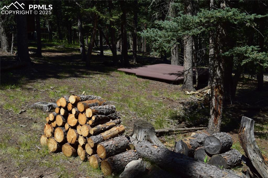 10223 Trail Creek Road Florissant CO 80816