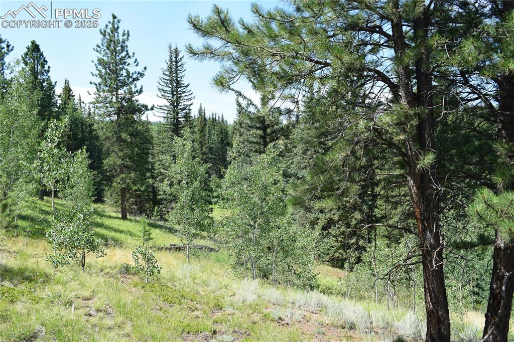 10223 Trail Creek Road Florissant CO 80816
