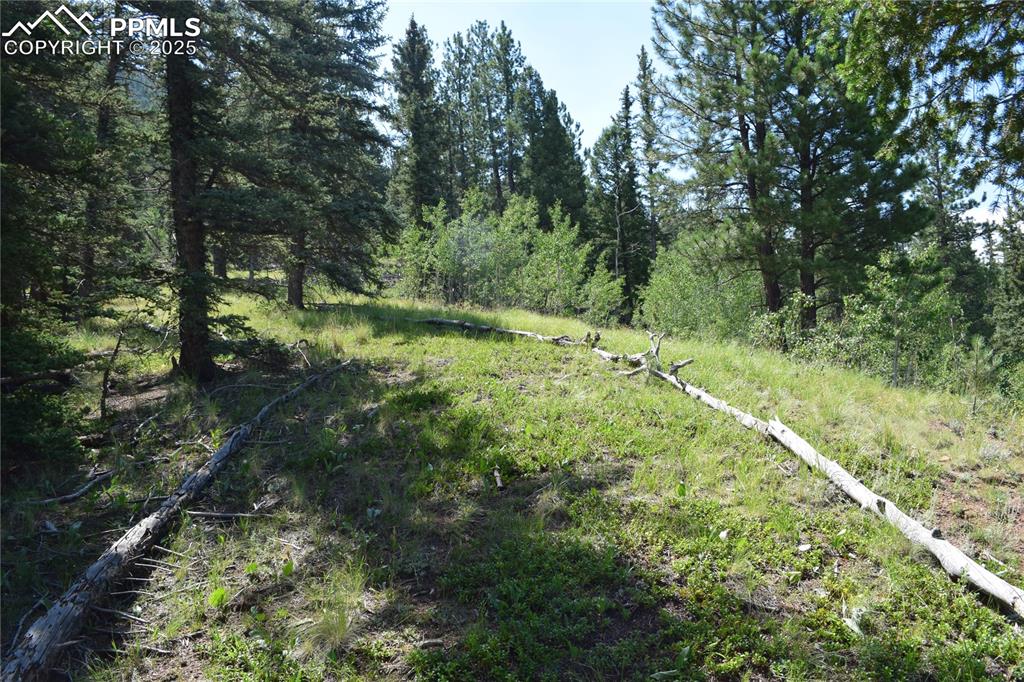 10223 Trail Creek Road Florissant CO 80816