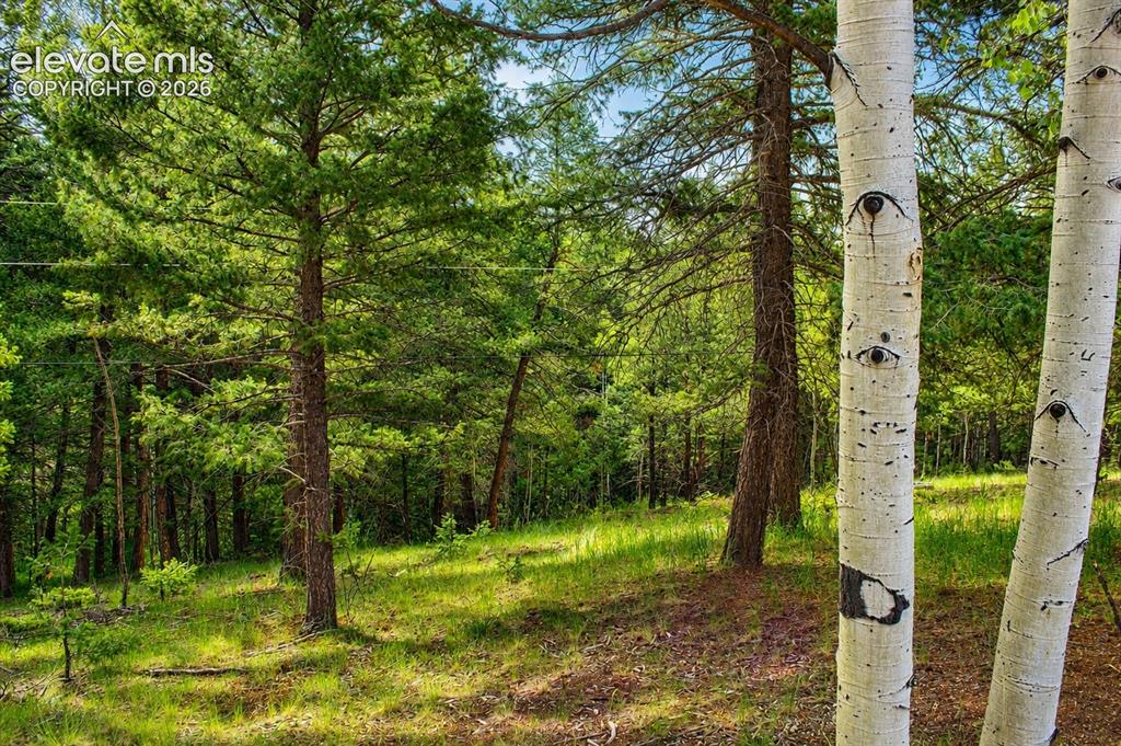 123 Ellis Lake Circle Divide CO 80814