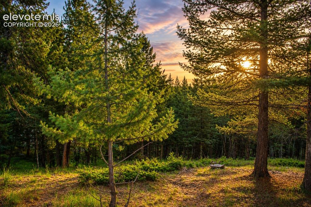 123 Ellis Lake Circle Divide CO 80814