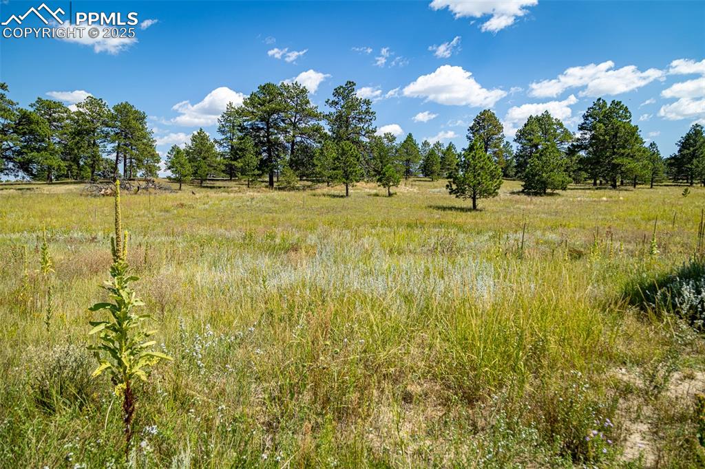 16759 Winsome Way Colorado Springs CO 80908