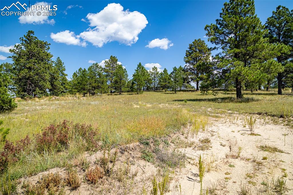 16759 Winsome Way Colorado Springs CO 80908