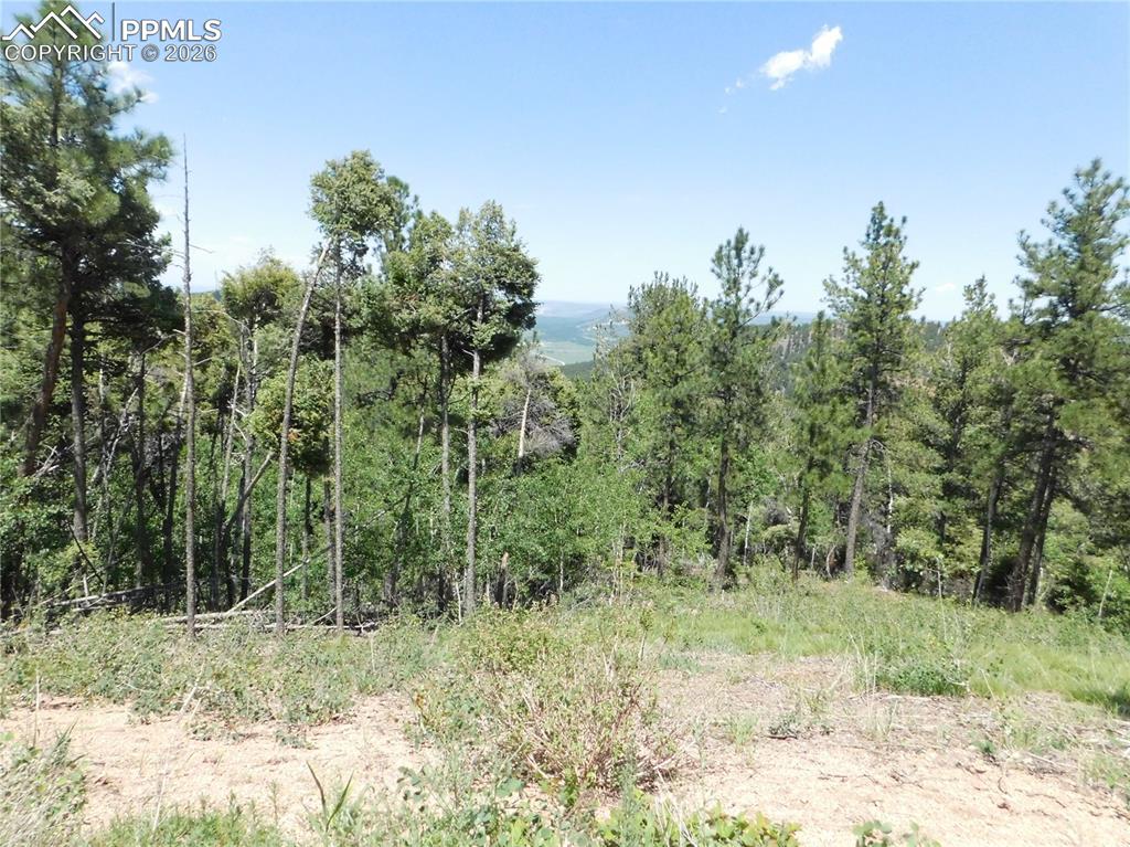 13670 Spruce Creek Circle Larkspur CO 80118