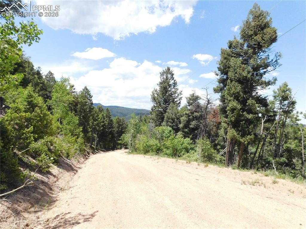 13670 Spruce Creek Circle Larkspur CO 80118