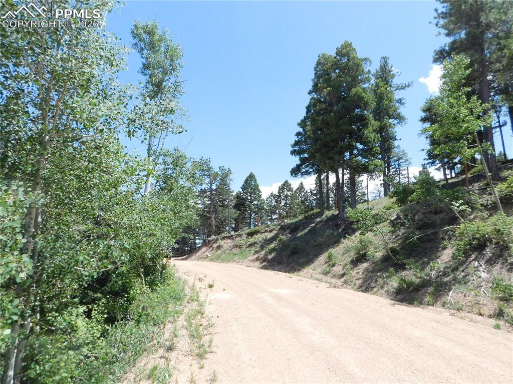 13670 Spruce Creek Circle Larkspur CO 80118