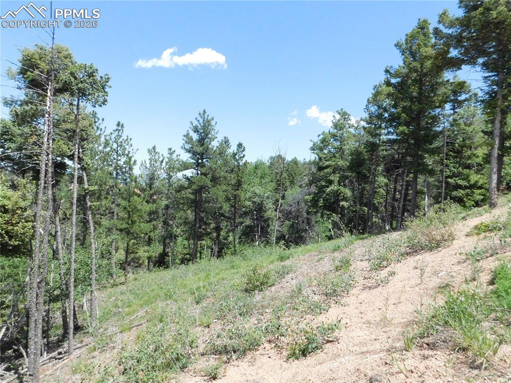 13670 Spruce Creek Circle Larkspur CO 80118
