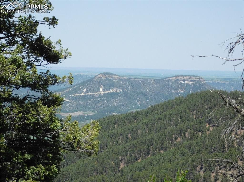 13670 Spruce Creek Circle Larkspur CO 80118