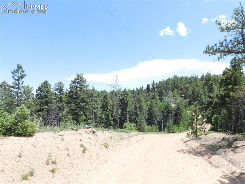 13670 Spruce Creek Circle Larkspur CO 80118