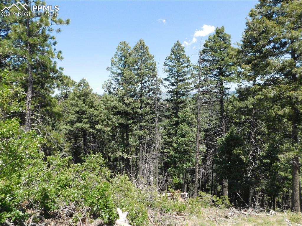 13670 Spruce Creek Circle Larkspur CO 80118
