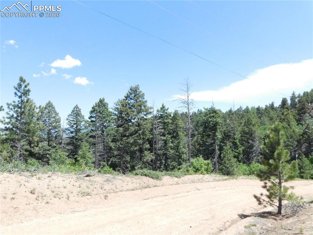 13670 Spruce Creek Circle Larkspur CO 80118