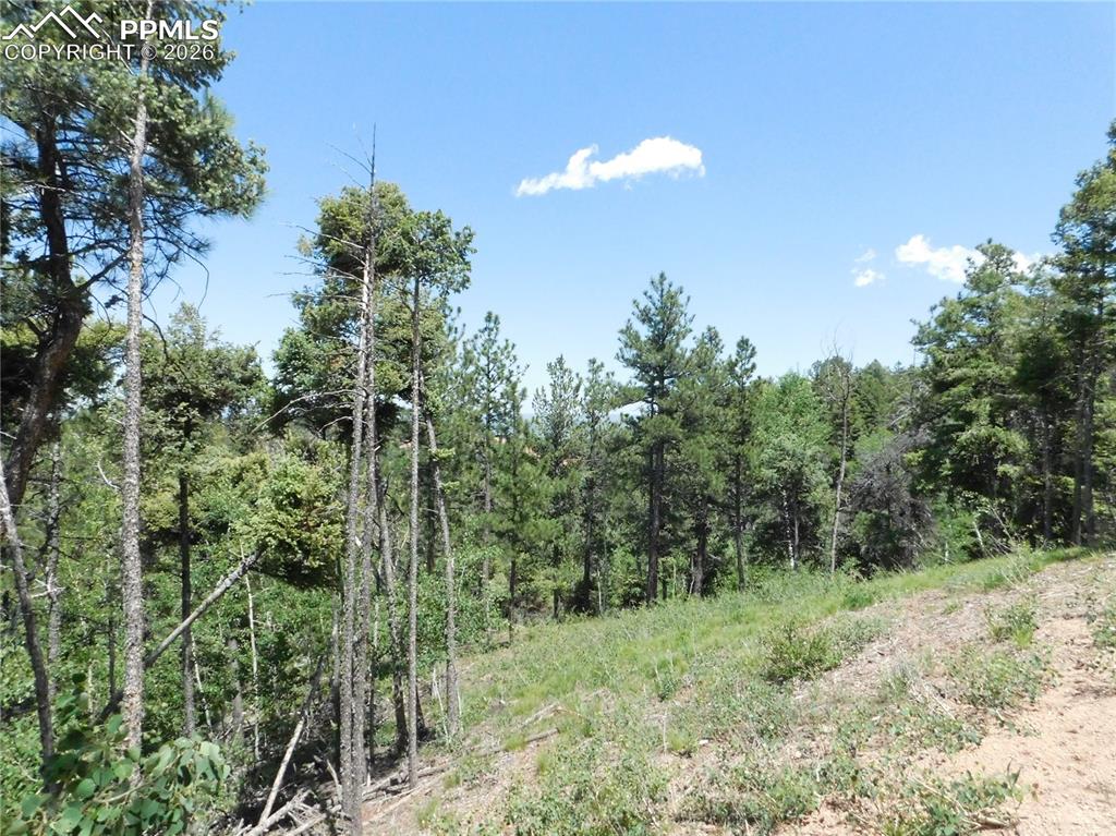 13670 Spruce Creek Circle Larkspur CO 80118