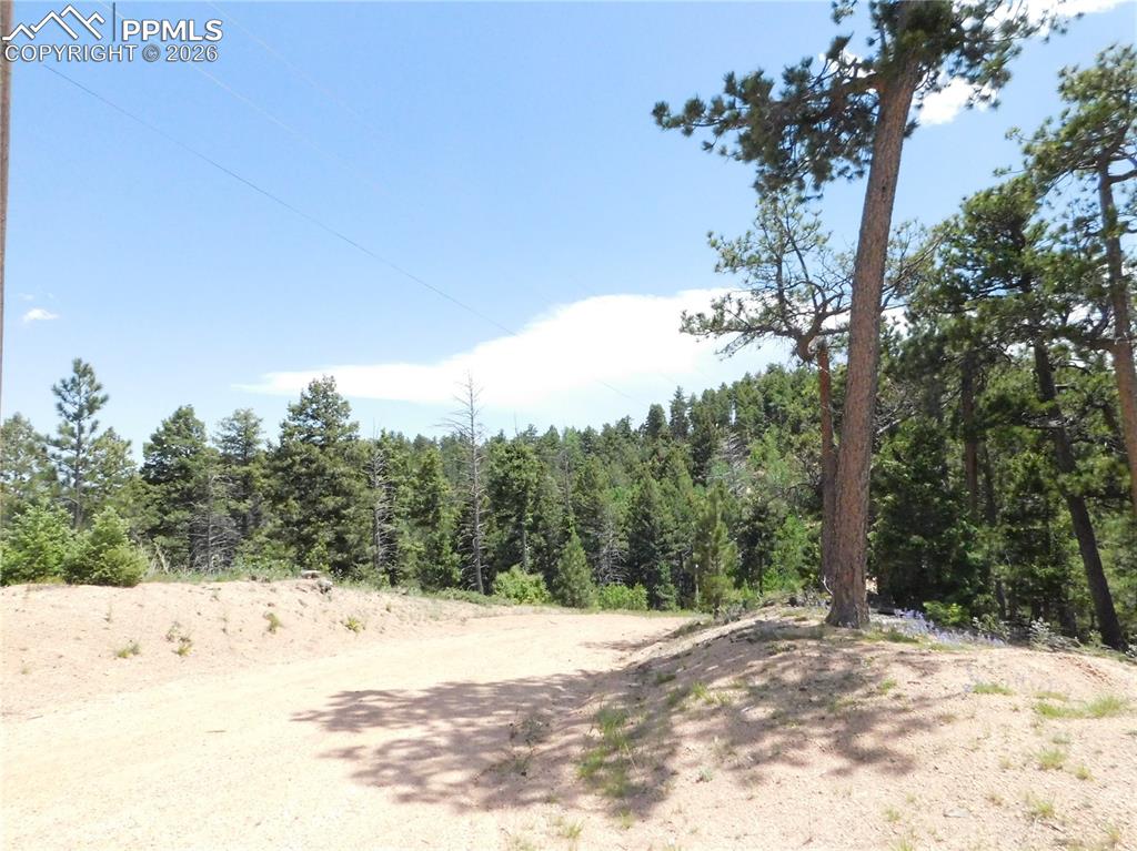 13670 Spruce Creek Circle Larkspur CO 80118