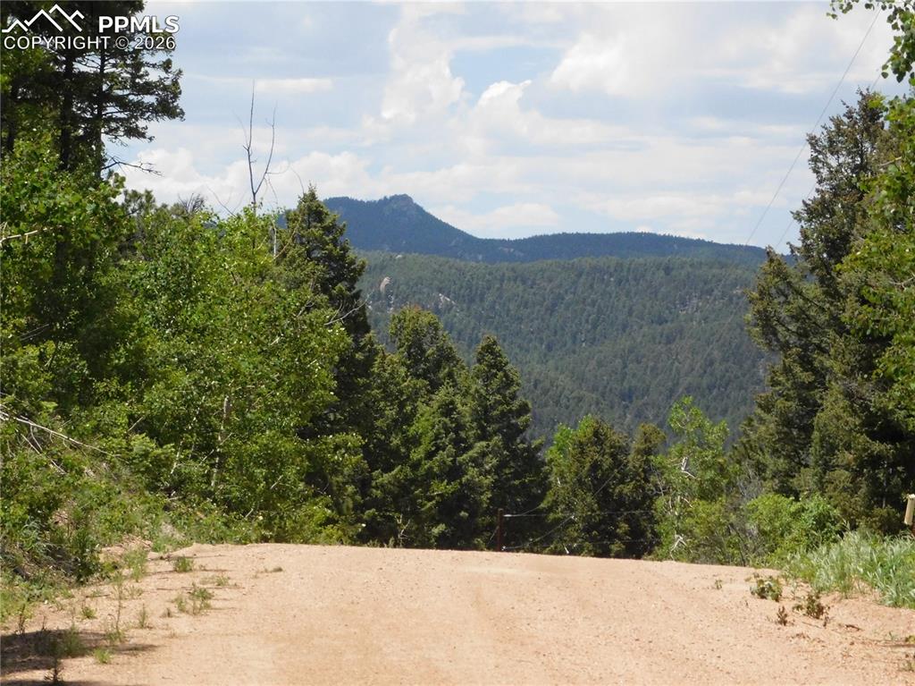 13670 Spruce Creek Circle Larkspur CO 80118