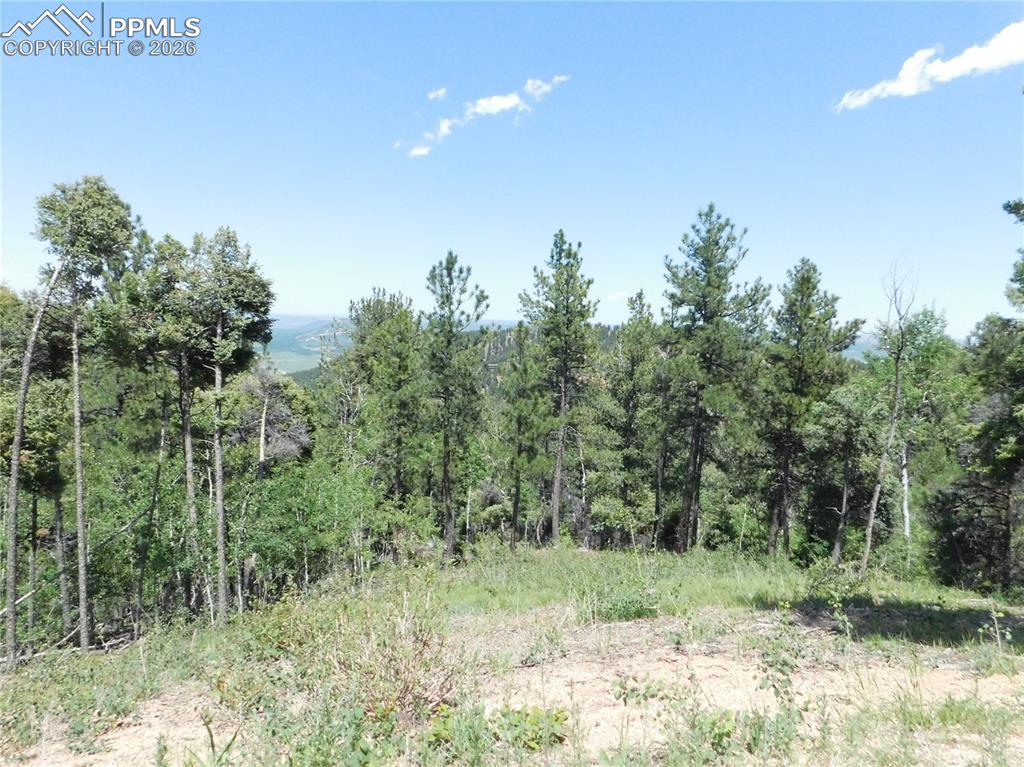 13670 Spruce Creek Circle Larkspur CO 80118