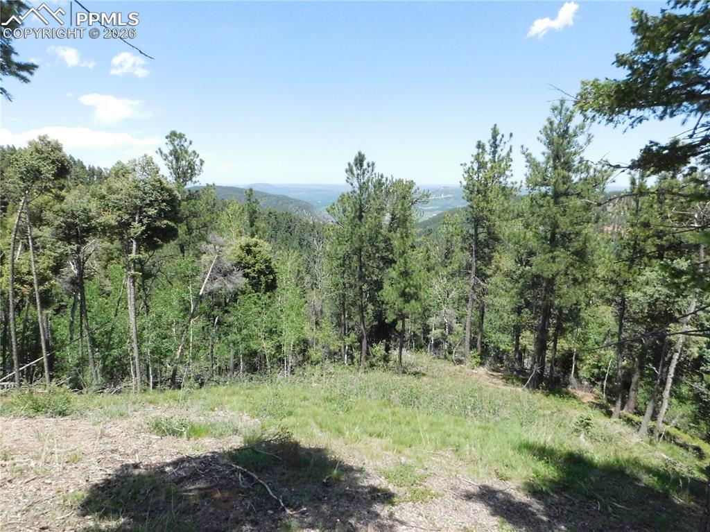13670 Spruce Creek Circle Larkspur CO 80118