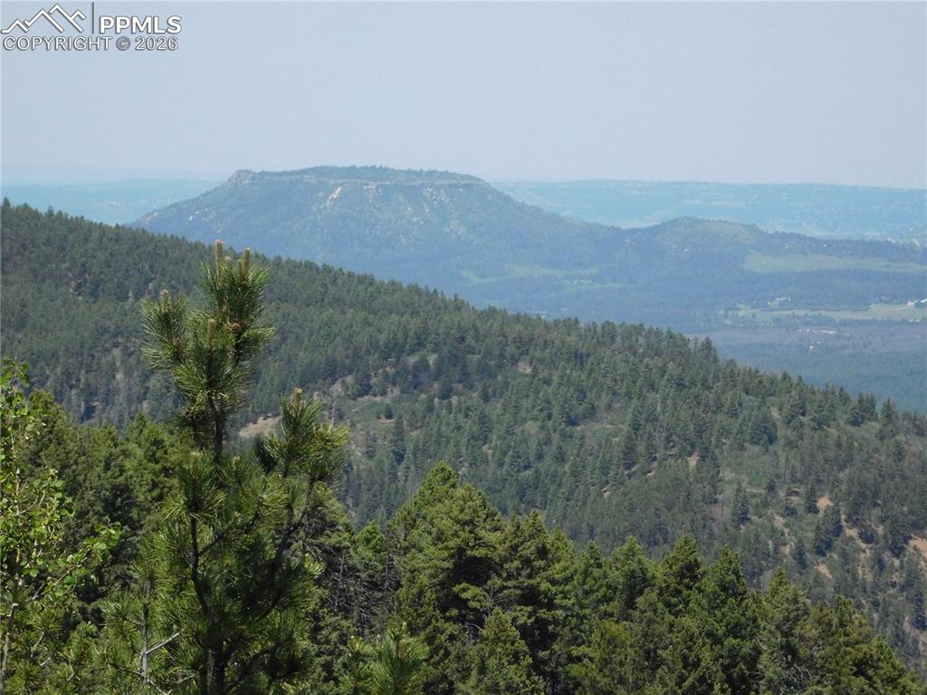 13670 Spruce Creek Circle Larkspur CO 80118
