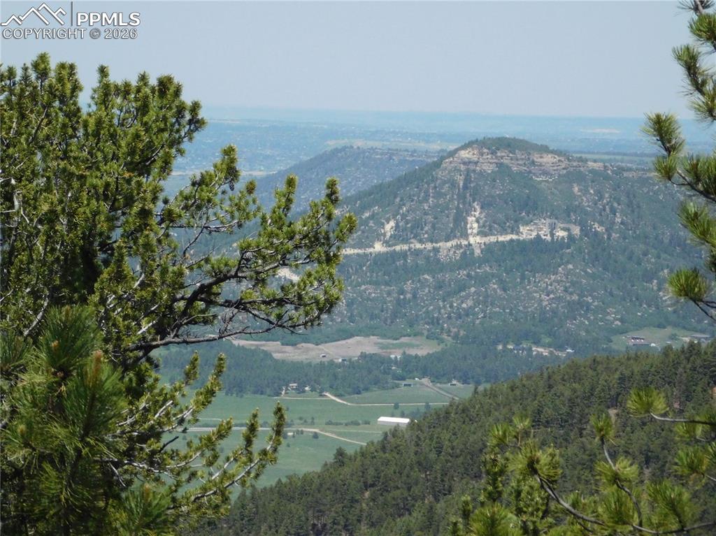 13670 Spruce Creek Circle Larkspur CO 80118