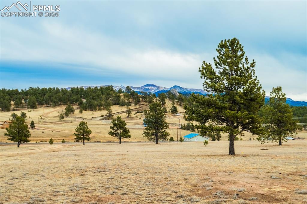 12077 County Road 1 Florissant CO 80816