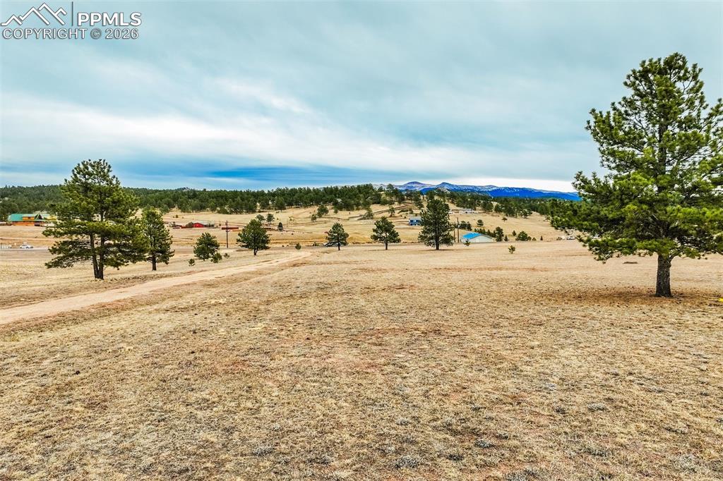 12077 County Road 1 Florissant CO 80816