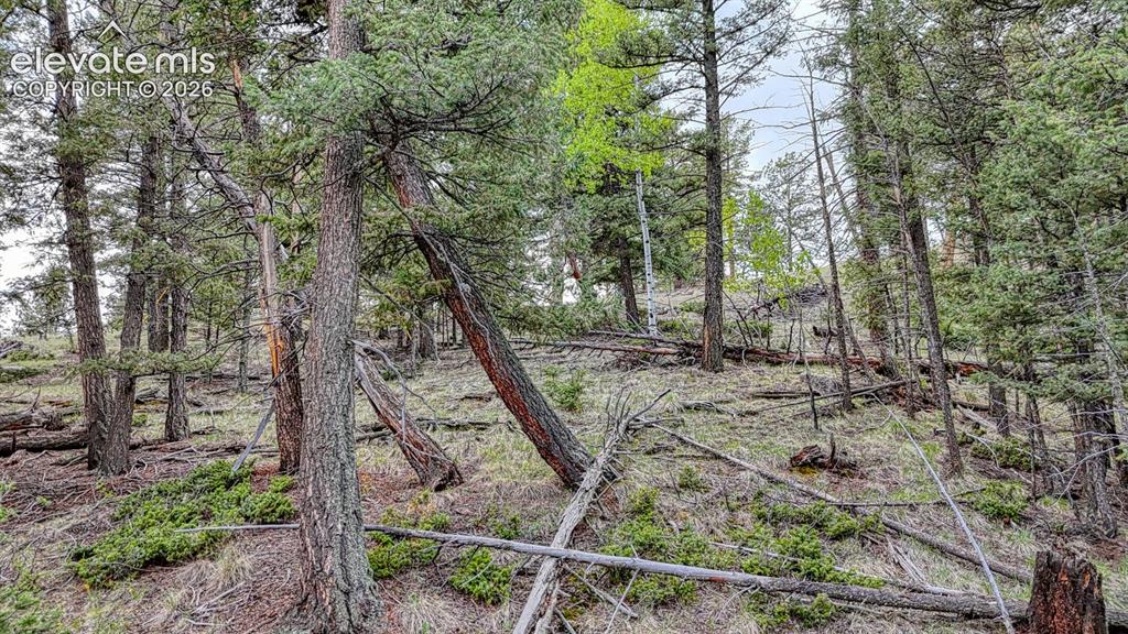 918 Pinon Lane Florissant CO 80816