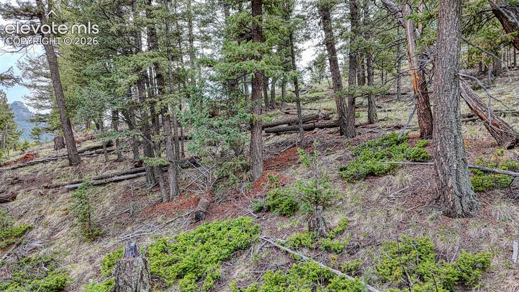 918 Pinon Lane Florissant CO 80816