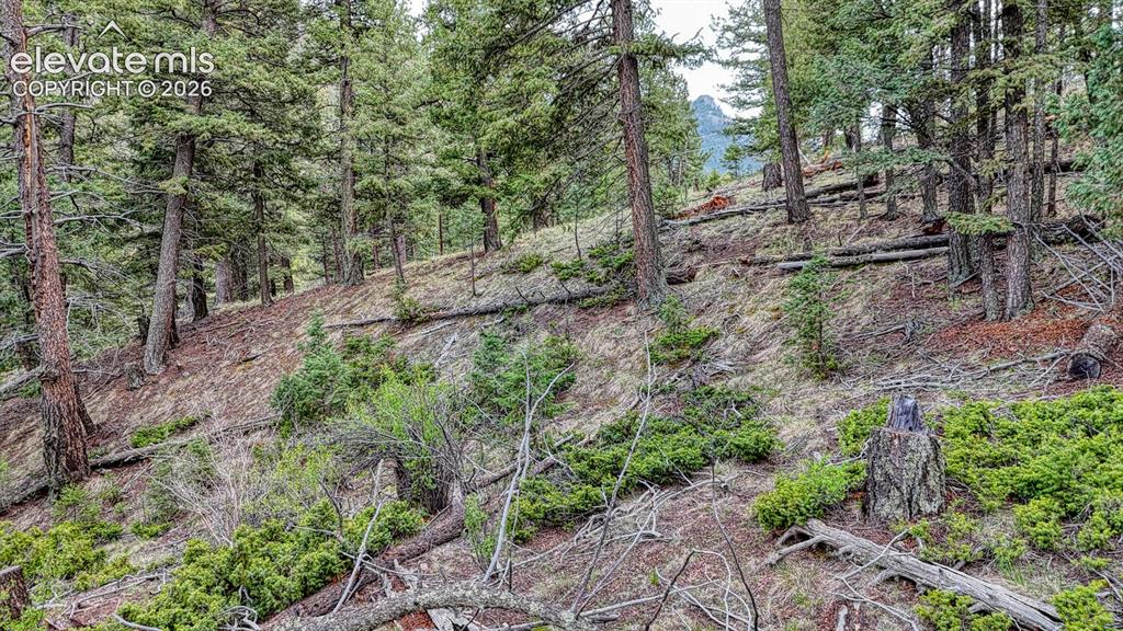 918 Pinon Lane Florissant CO 80816