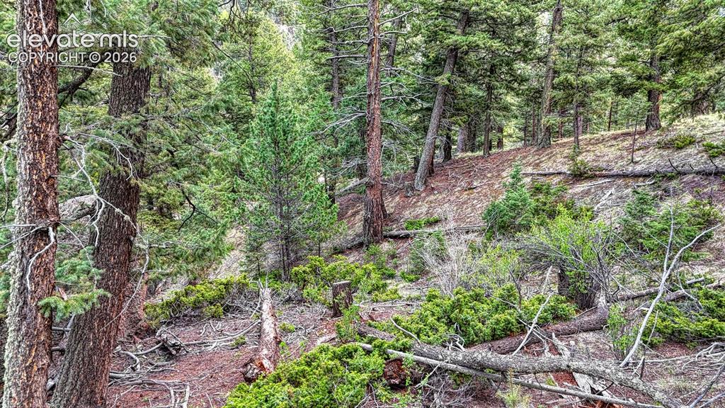 918 Pinon Lane Florissant CO 80816