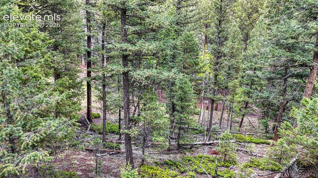918 Pinon Lane Florissant CO 80816