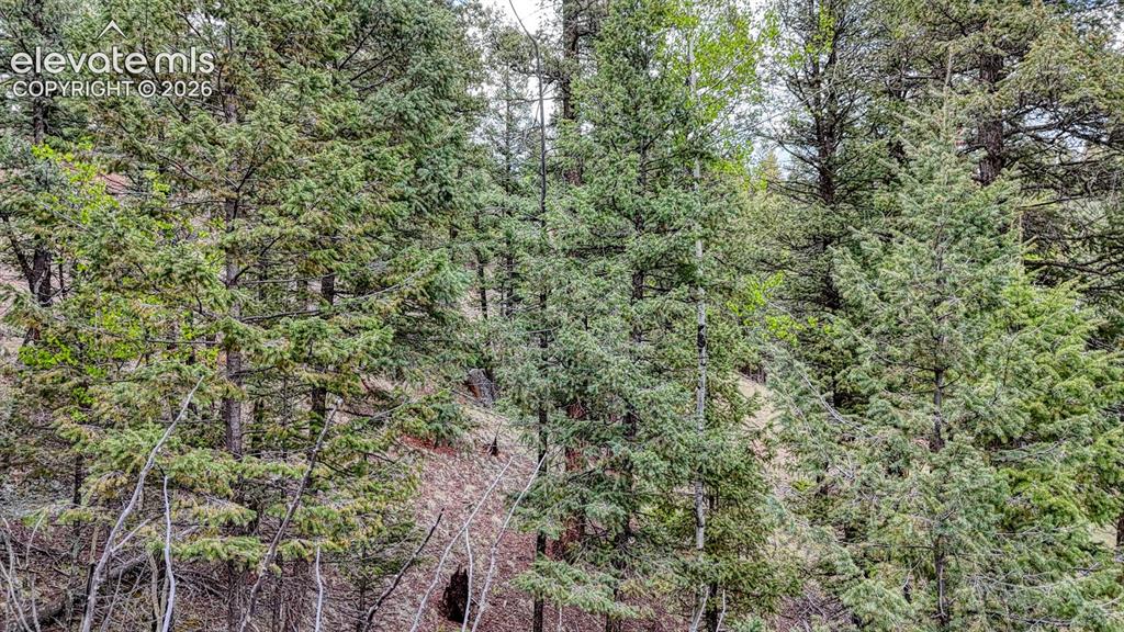 918 Pinon Lane Florissant CO 80816