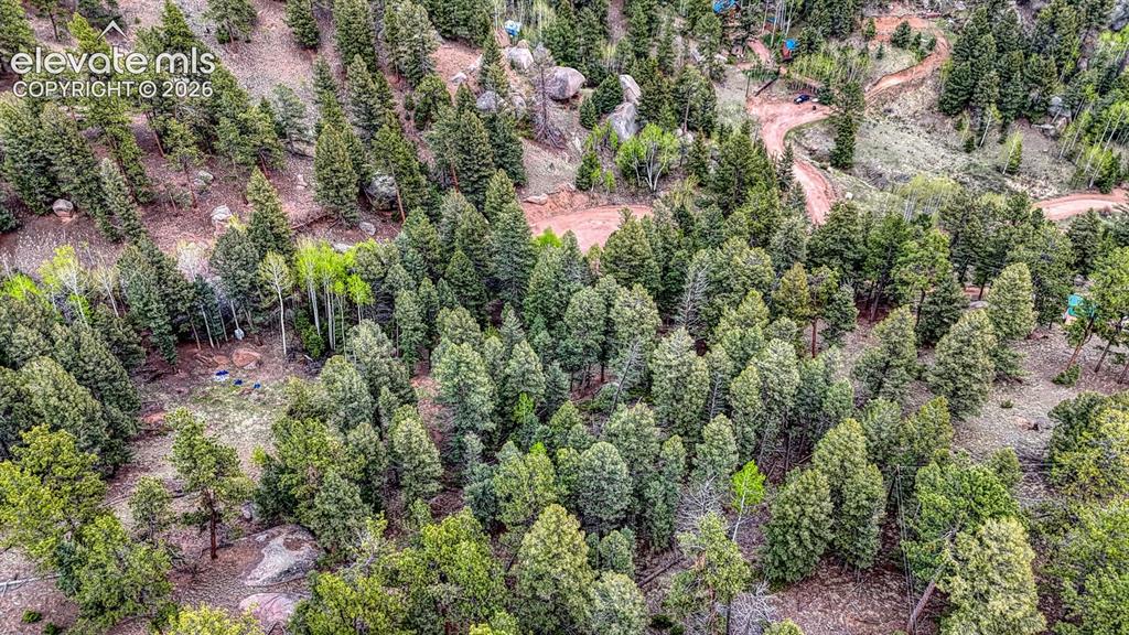 918 Pinon Lane Florissant CO 80816