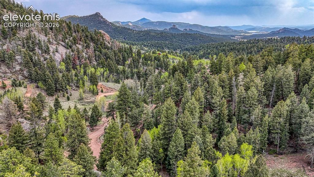 918 Pinon Lane Florissant CO 80816