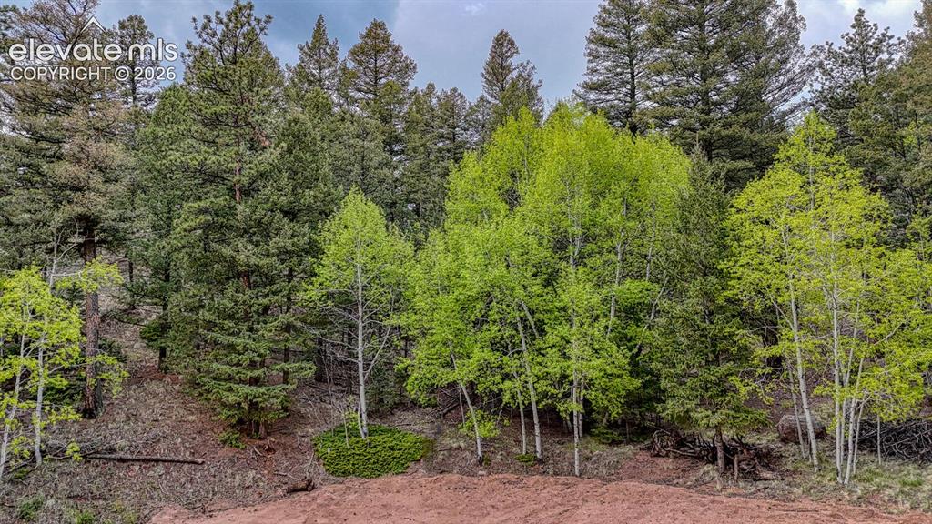918 Pinon Lane Florissant CO 80816