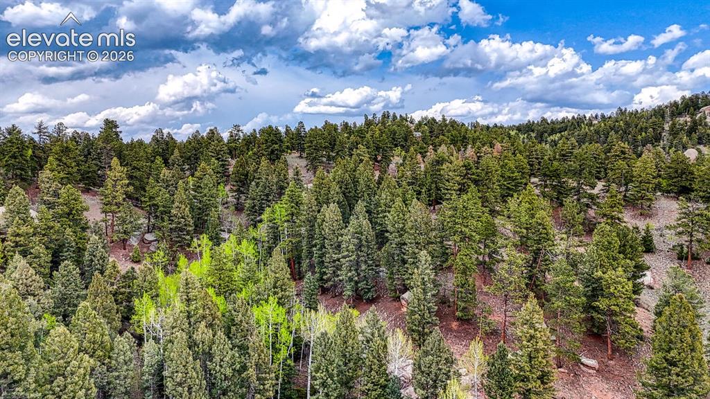 918 Pinon Lane Florissant CO 80816
