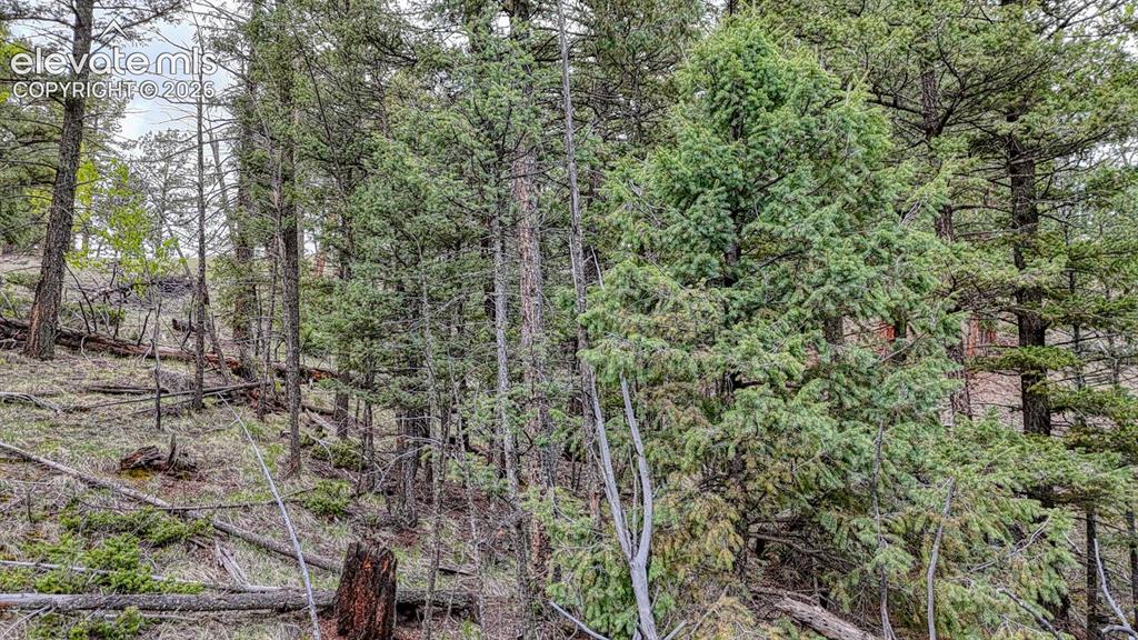 918 Pinon Lane Florissant CO 80816